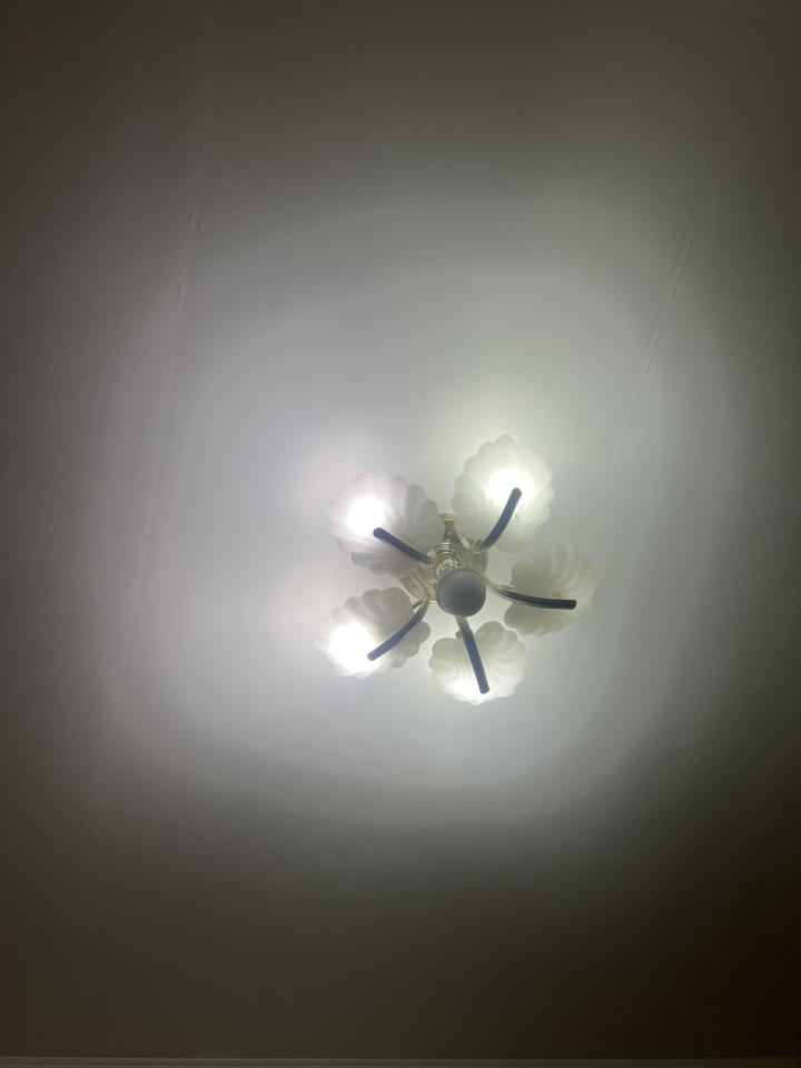 燈具安裝案件圖片