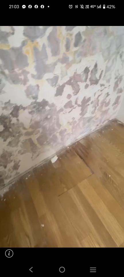 泥作/水泥施工案件圖片