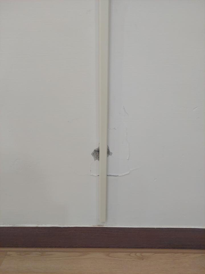 油漆工程案件圖片