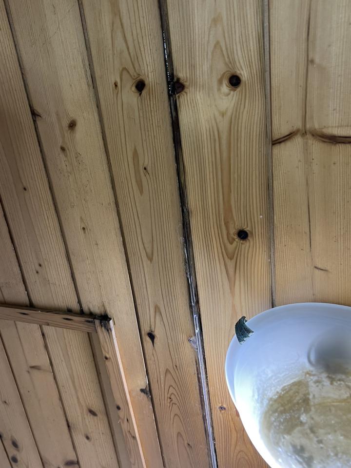 漏水處理案件圖片 漏水處理案件圖片