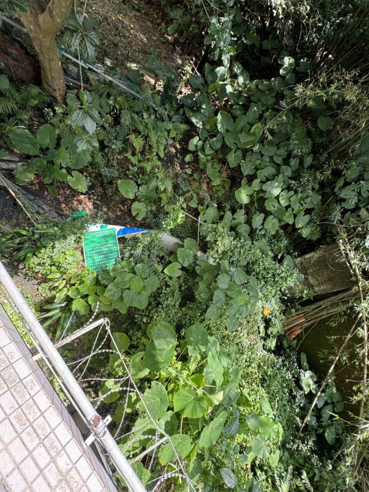 園藝維護案件圖片