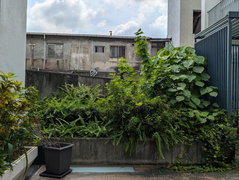 園藝設計案件圖片