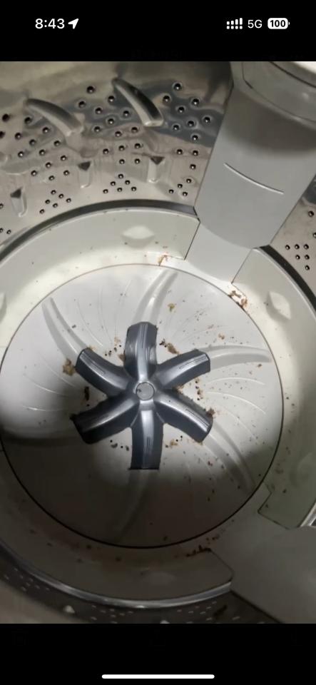 洗衣機清洗案件圖片