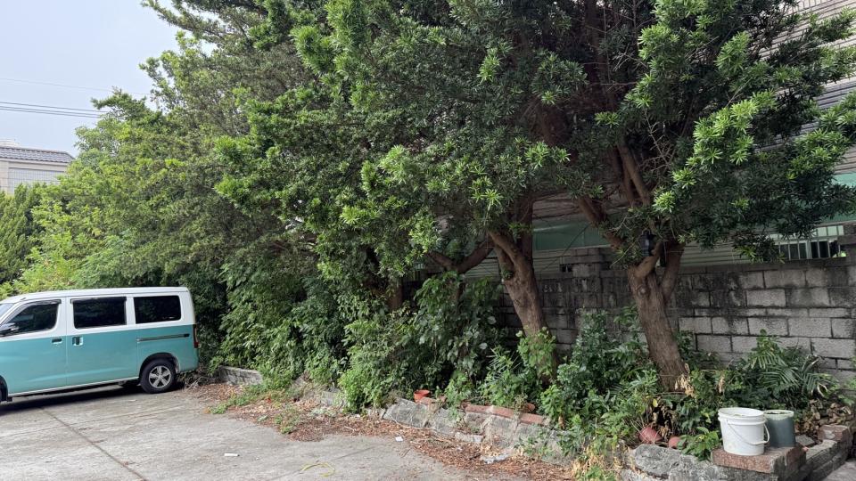 園藝維護案件圖片 園藝維護案件圖片