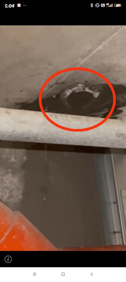 漏水處理案件圖片