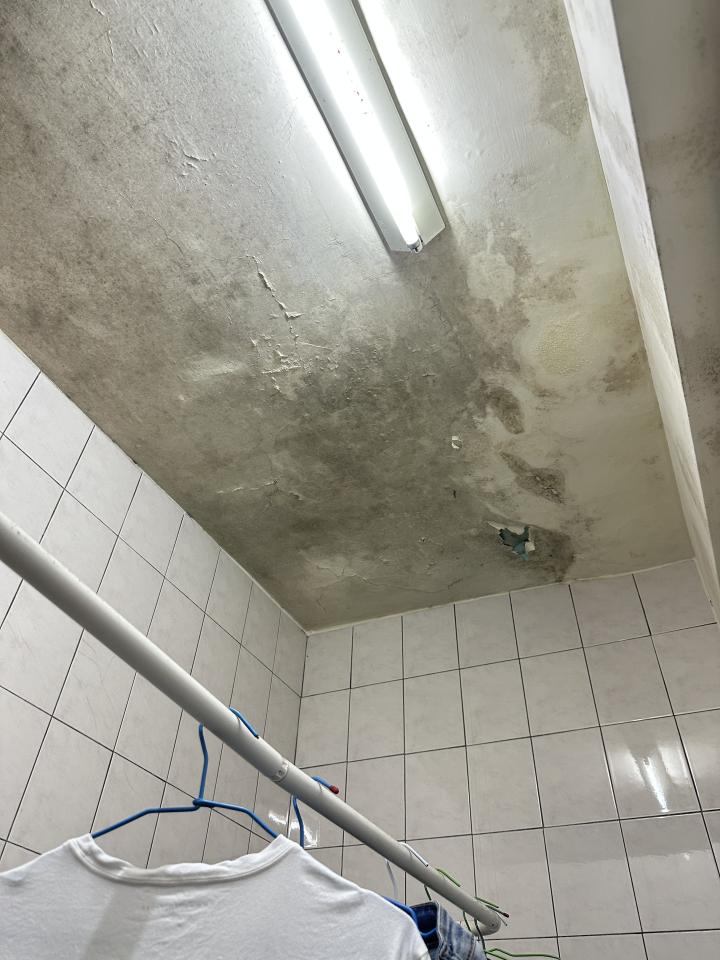 抓漏案件圖片 抓漏案件圖片