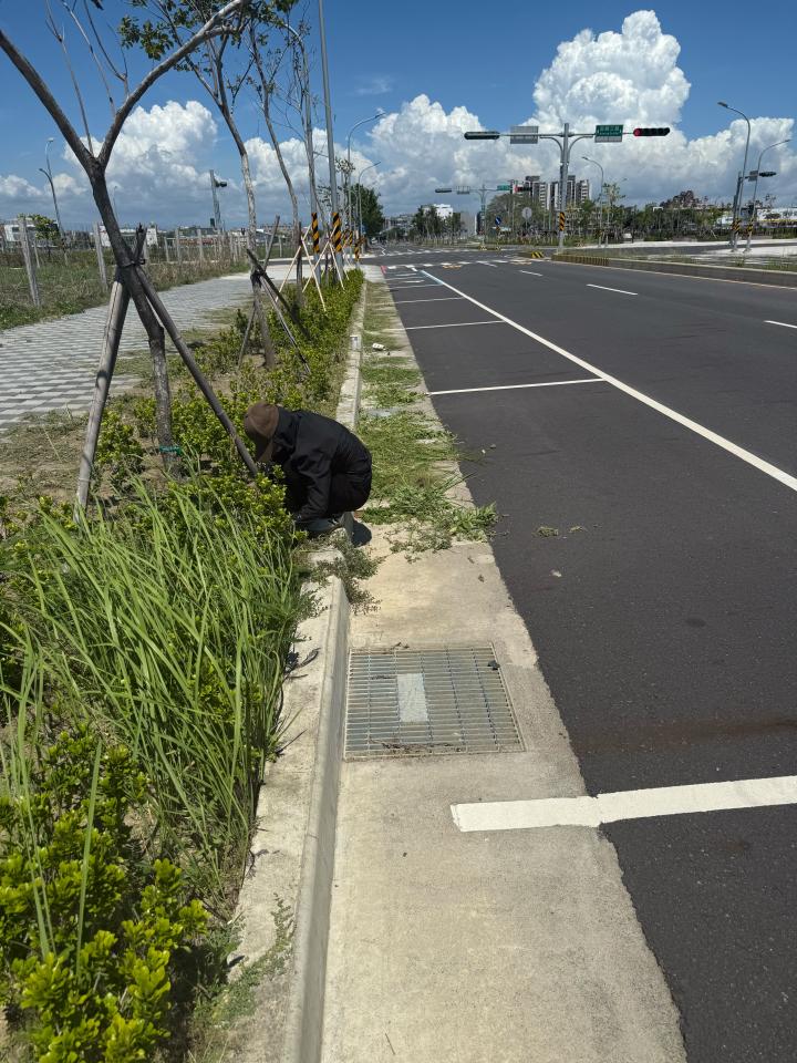 園藝維護案件圖片