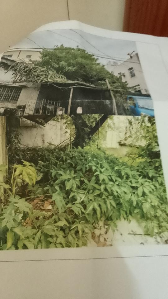拆除工程案件圖片