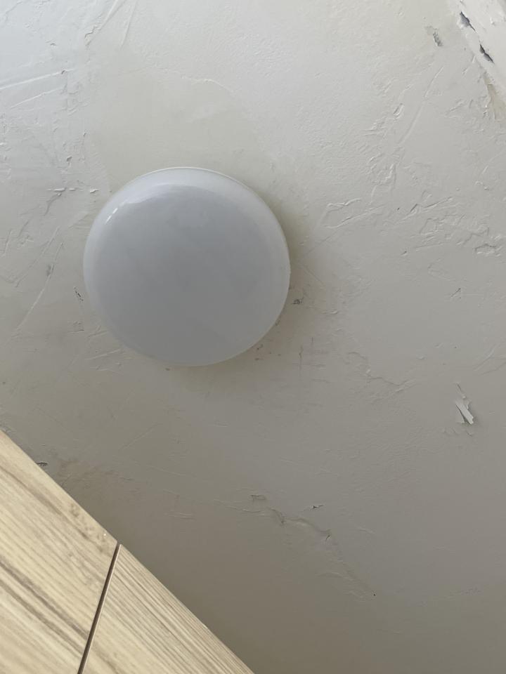 抓漏案件圖片