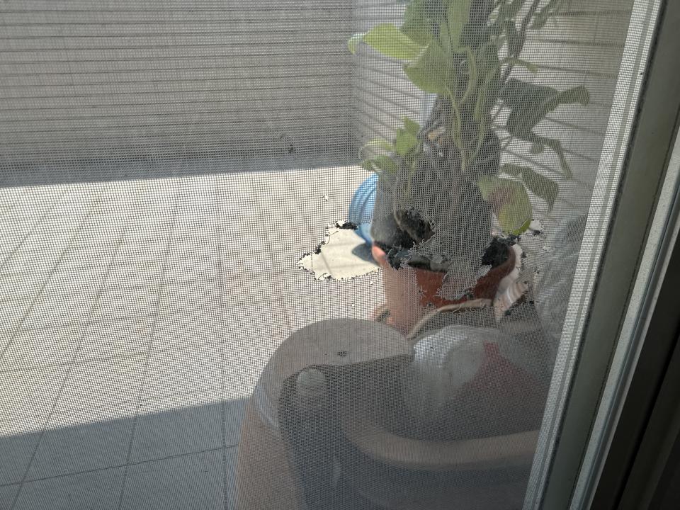 紗窗裝修案件圖片