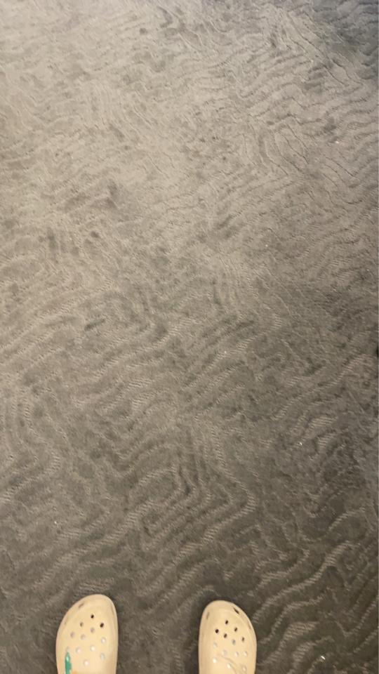 地毯訂製案件圖片