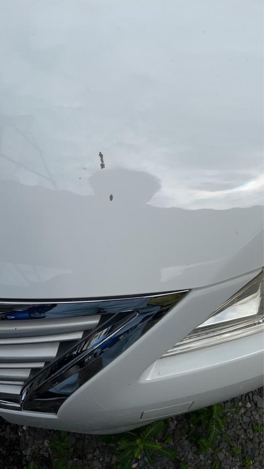 汽車板金烤漆案件圖片