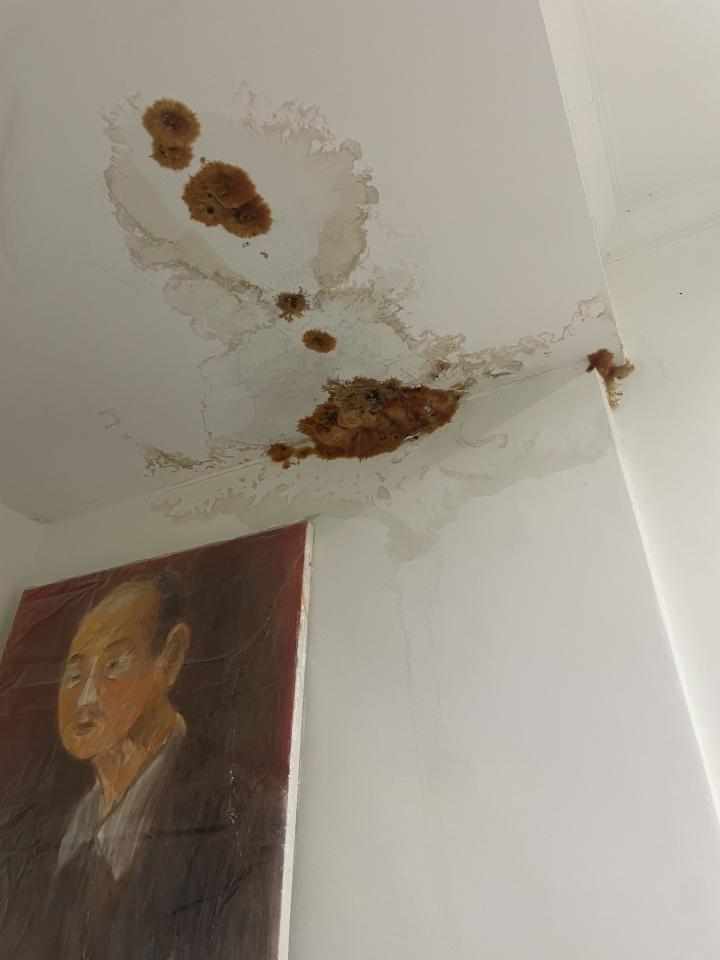 抓漏案件圖片