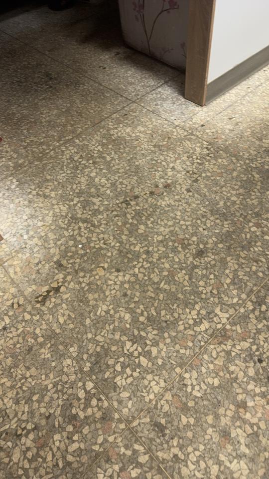 地板拋光打蠟案件圖片