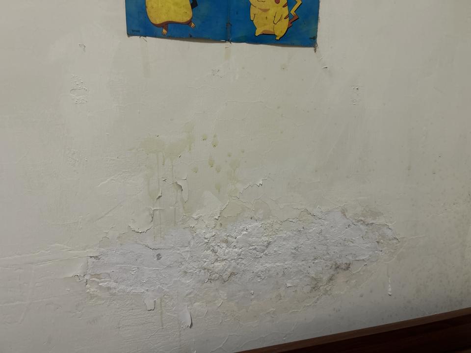 油漆工程案件圖片