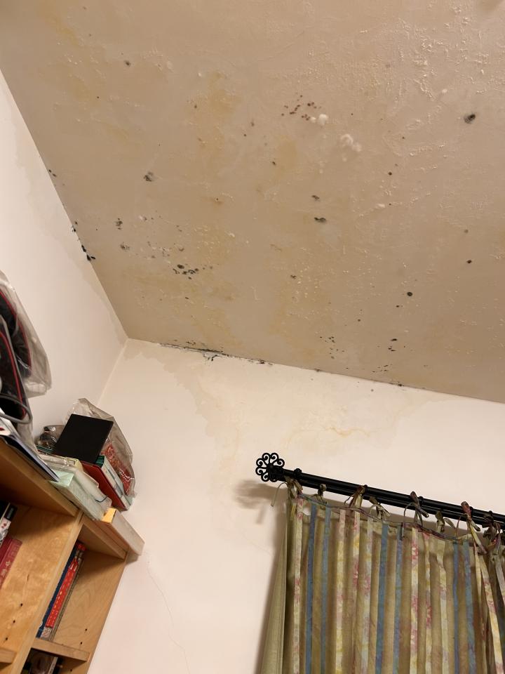 油漆工程案件圖片