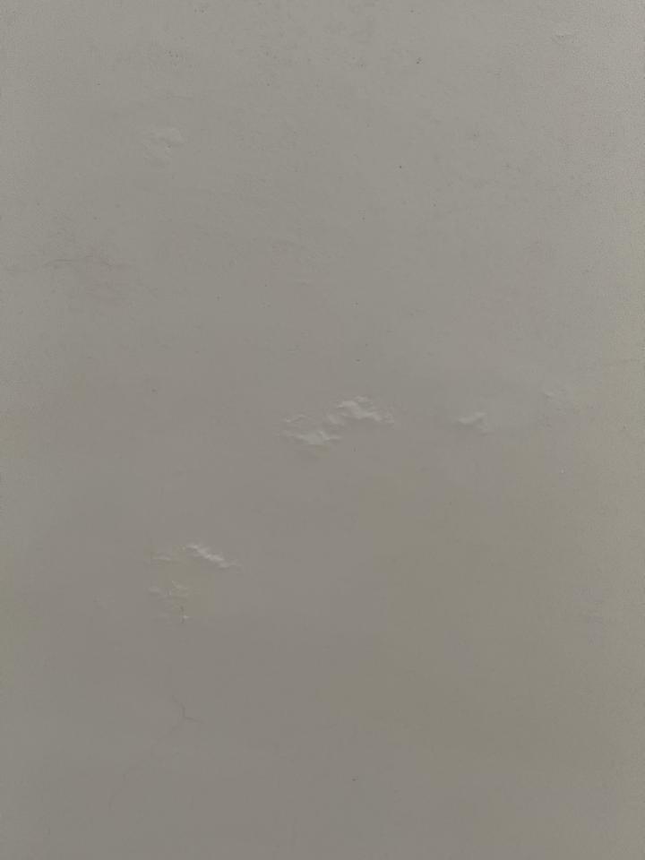 油漆工程案件圖片