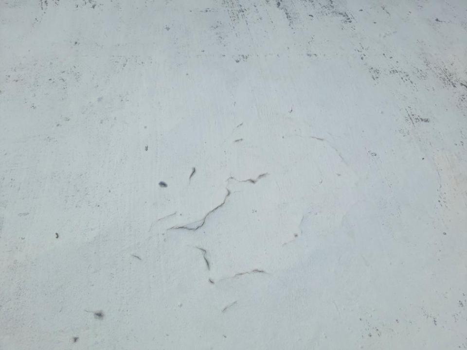 屋頂防水案件圖片 屋頂防水案件圖片