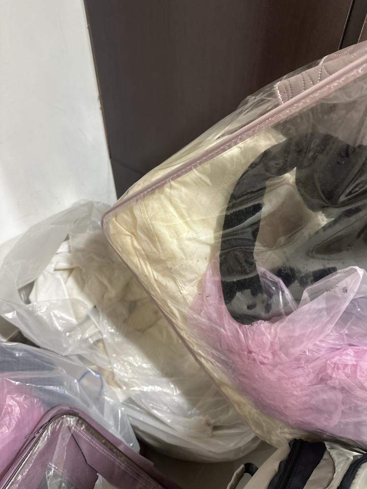 大型垃圾回收案件圖片