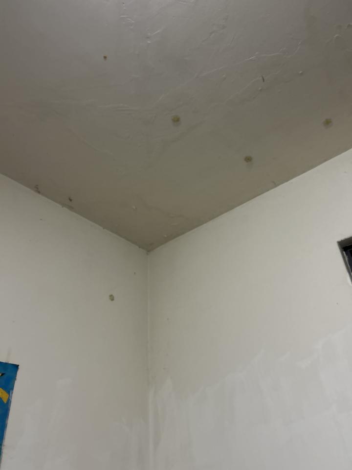 油漆工程案件圖片