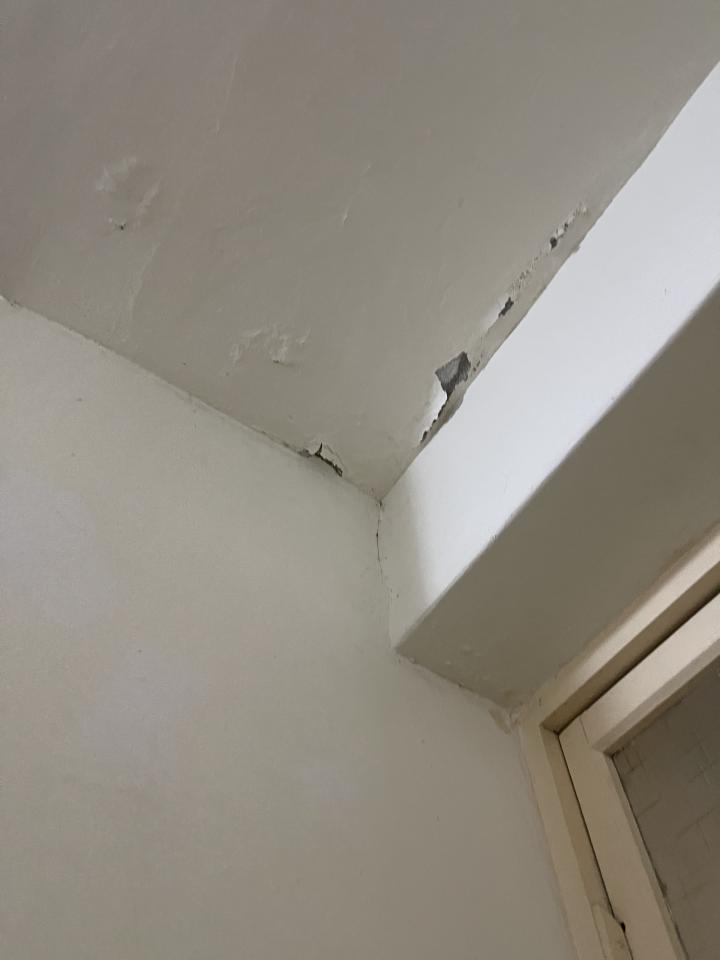油漆工程案件圖片