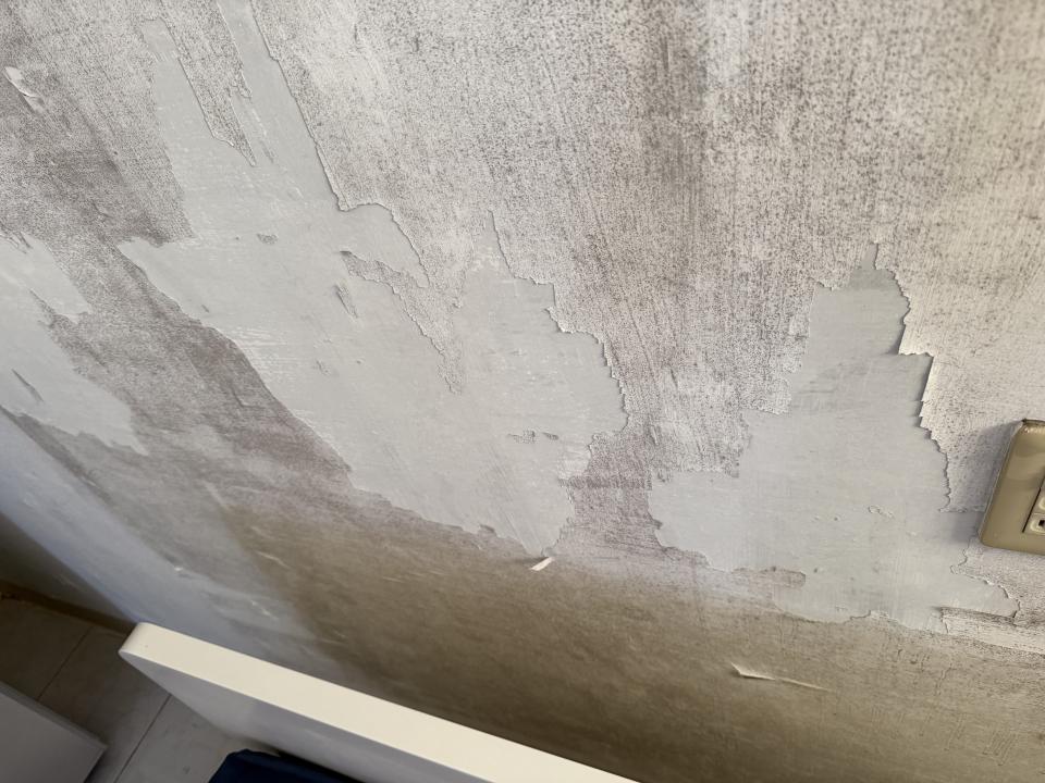 抓漏案件圖片