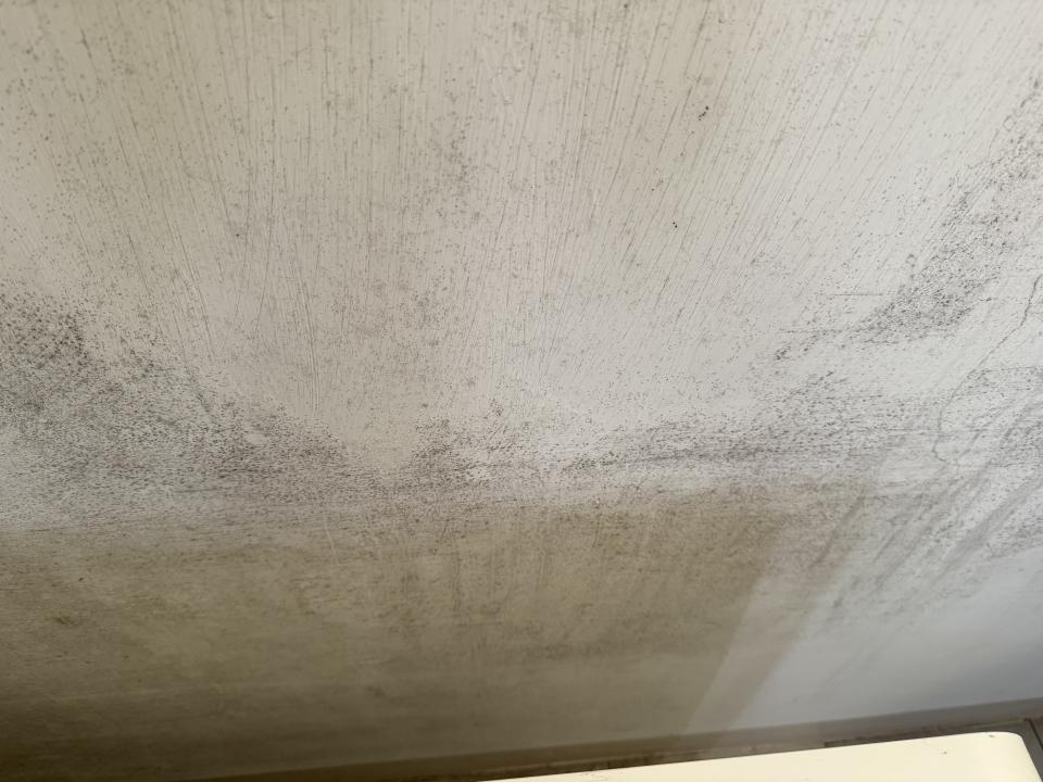 漏水鑑定案件圖片 漏水鑑定案件圖片