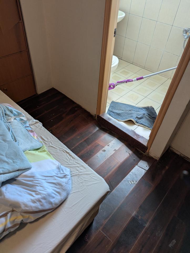 地板施工案件圖片