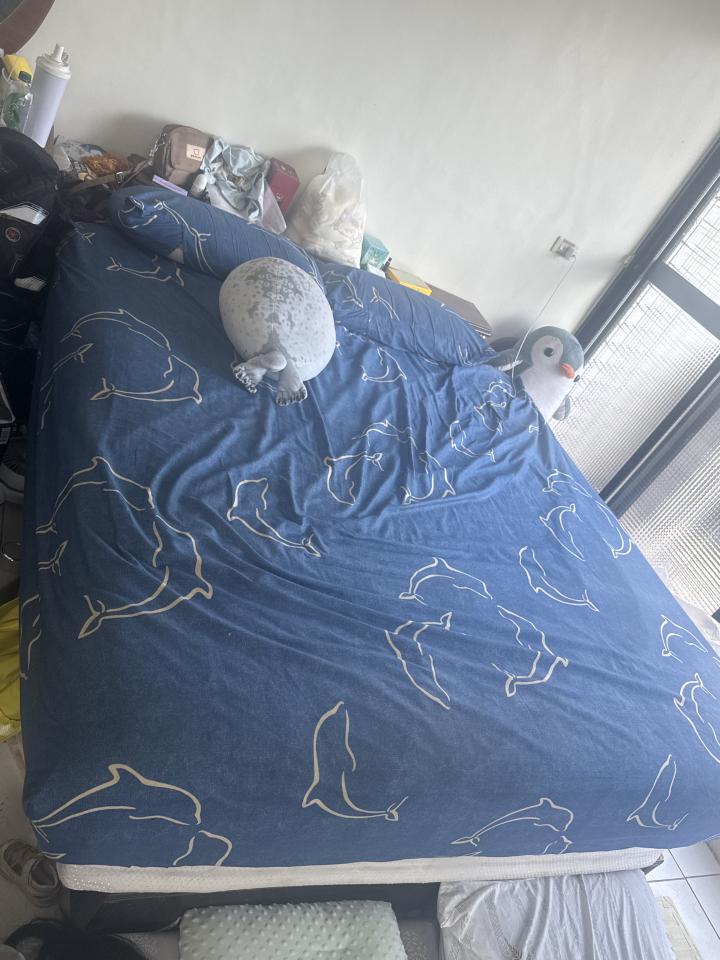 搬家案件圖片