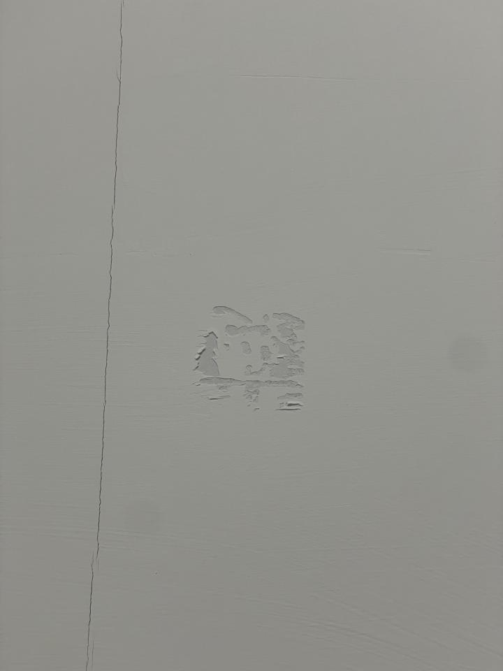 油漆工程案件圖片