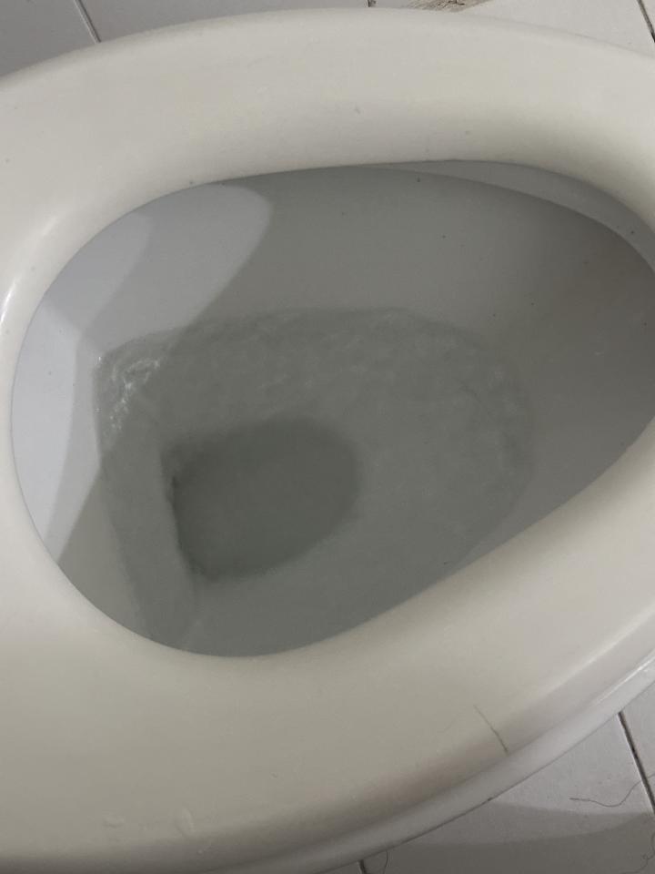 馬桶裝修案件圖片
