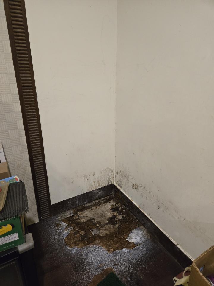 漏水處理案件圖片 漏水處理案件圖片