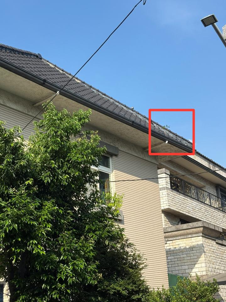 屋瓦翻修案件圖片