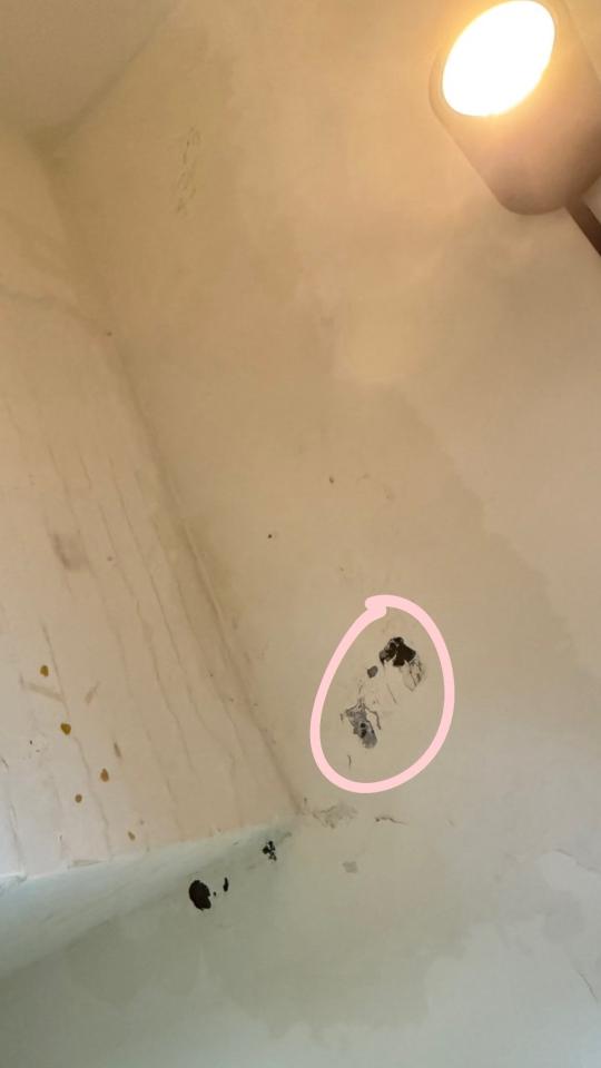 抓漏案件圖片