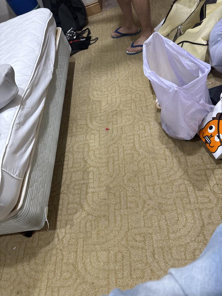 地板拋光打蠟案件圖片