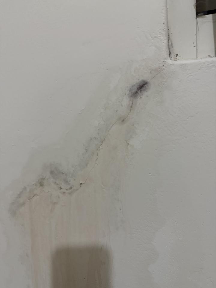 抓漏案件圖片