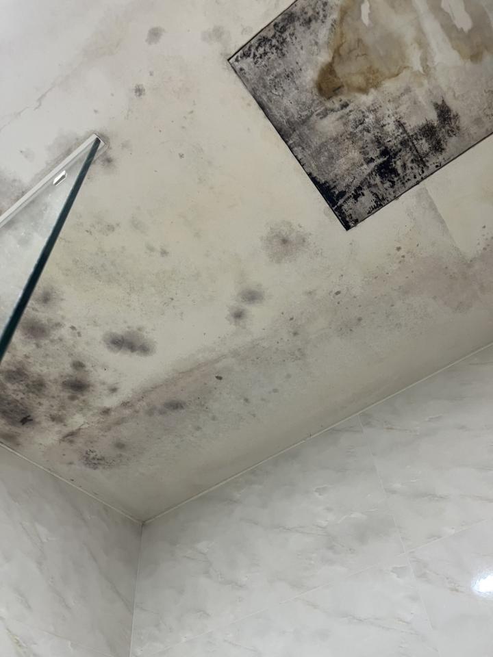 浴室翻新案件圖片