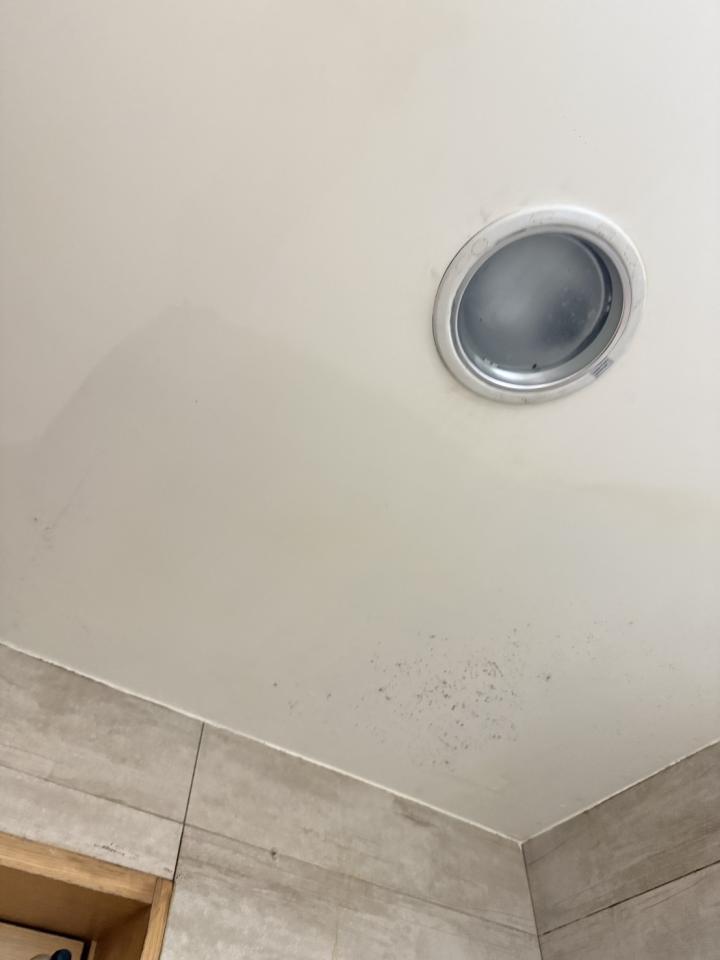 抓漏案件圖片