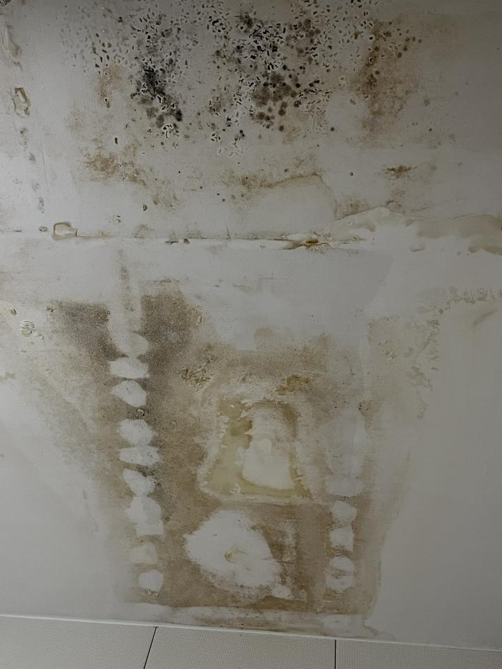 抓漏案件圖片