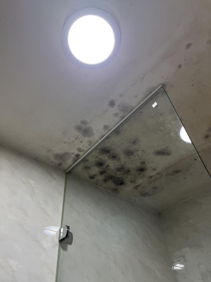 浴室翻新案件圖片
