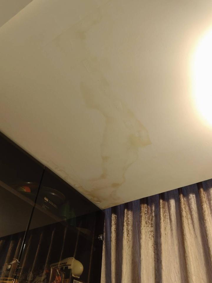 抓漏案件圖片
