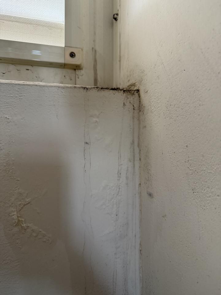 抓漏案件圖片