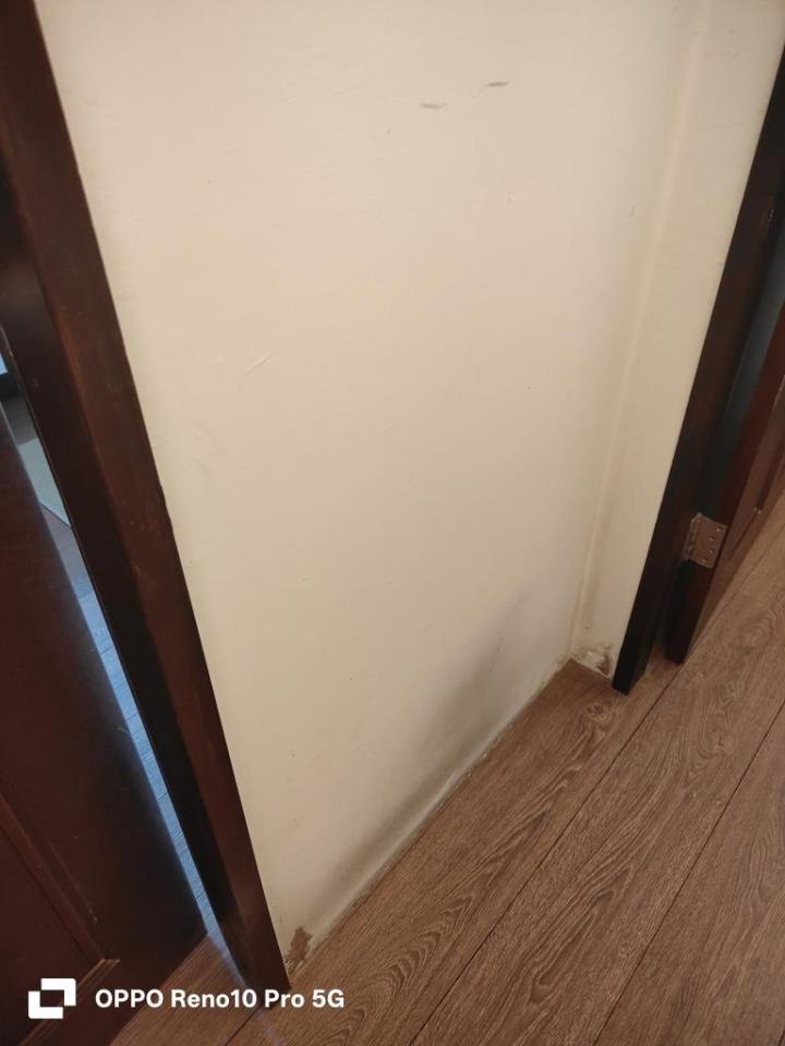 油漆工程案件圖片