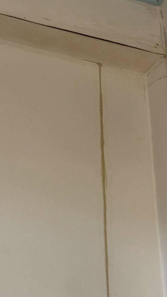 木工施工案件圖片
