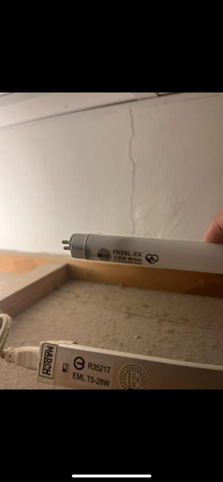 燈具維修案件圖片