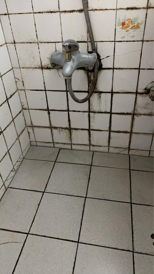 除霉案件圖片