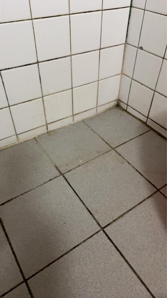 除霉案件圖片