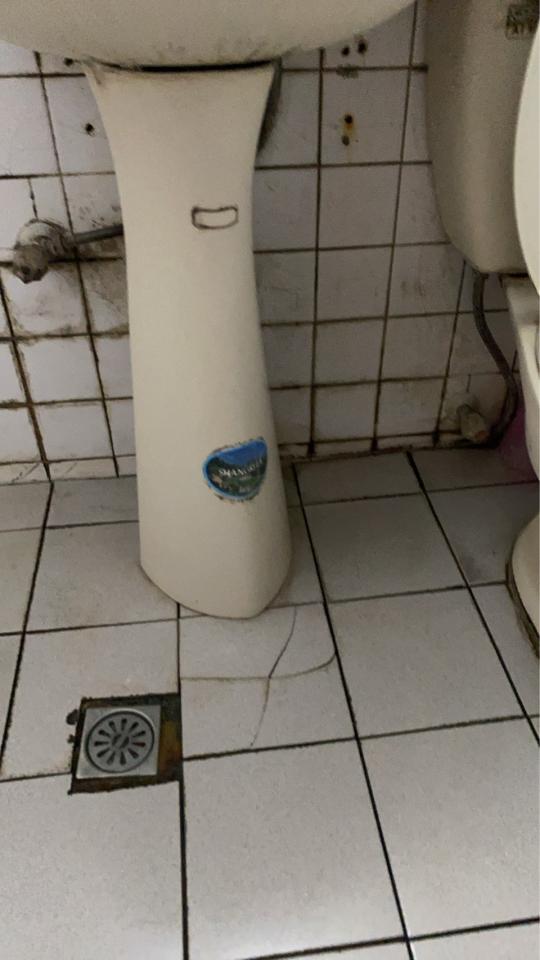 除霉案件圖片
