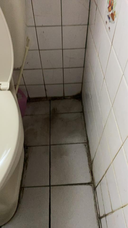除霉案件圖片