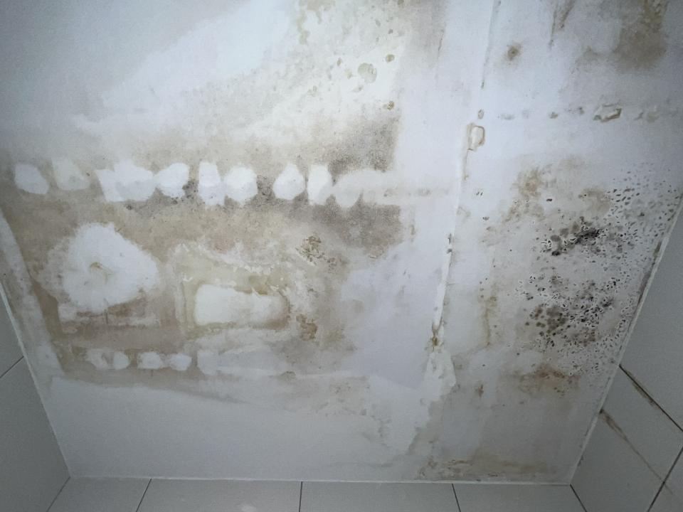 油漆工程案件圖片